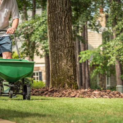 man fertilizing lawn