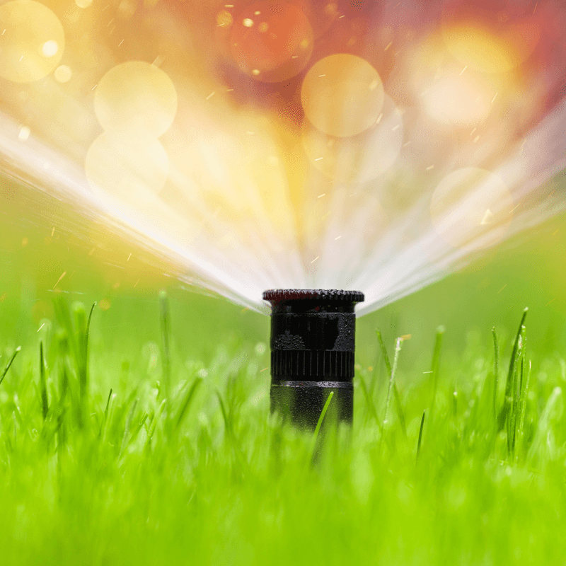 pop up sprinkler