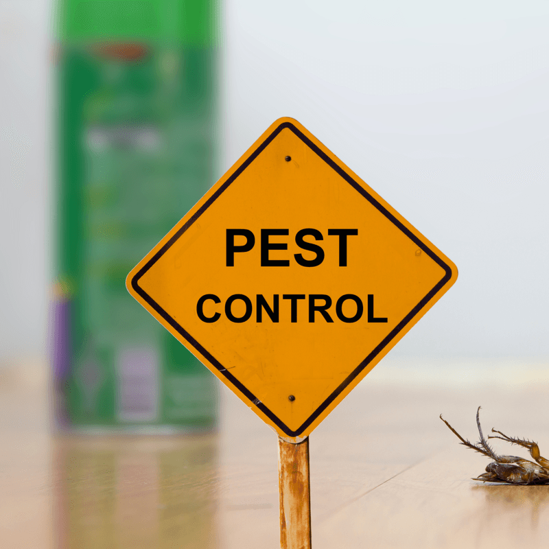 home pest control