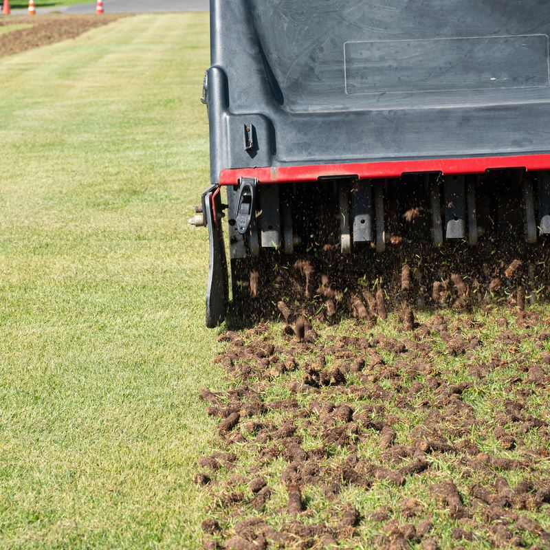 lawn aeration plugs