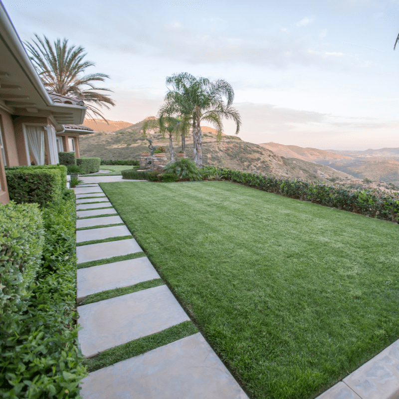 California lawn